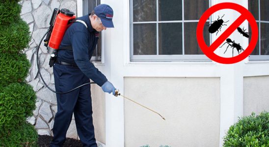 Çameli Tahtakurusu İlaçlama böcek ilaçlama ve haşere kontrolü — ilaclama-tr.com